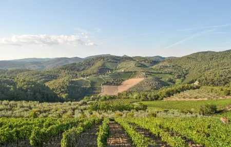 Mulino Cintoia, Maison 8 personnes à Greve in Chianti - Photo 8
