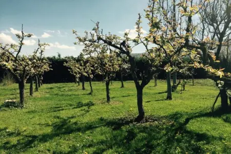 Appartamento in Villa con Giardino e Piscina, Villa à Tagliacozzo avec Piscine et Nature - Photo 33