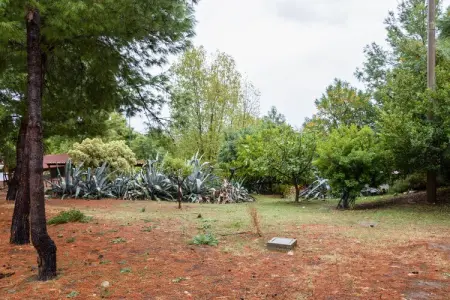 Villetta Arocha, Maison à Cropani Marina avec Piscine - Photo 25