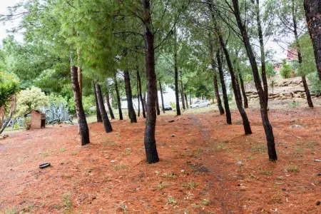Villetta Arocha, Maison à Cropani Marina avec Piscine - Photo 28