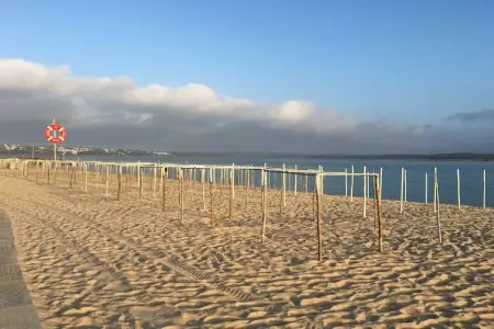 Villa Mar e Lagoa, Villa près de la lagune d'Obidos et plages - Photo 28