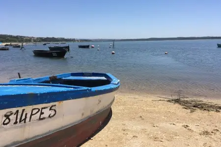 Villa Mar e Lagoa, Villa près de la lagune d'Obidos et plages - Photo 29