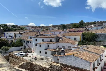 Villa Mar e Lagoa, Villa près de la lagune d'Obidos et plages - Photo 33
