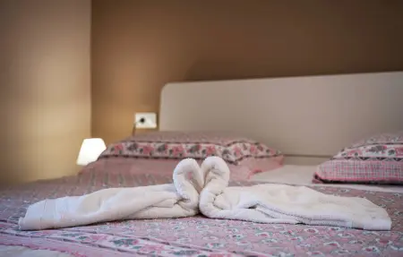 Maison 7 personnes à Orbanici - Photo 28