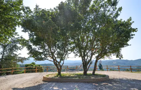 Soc.Agr.IL VERDE s..s, Maison 10 personnes à Apecchio - Photo 24