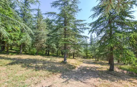 Soc.Agr.IL VERDE s..s, Maison 10 personnes à Apecchio - Photo 27