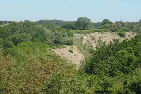 Accourir-Montagne, Maison ancienne avec piscine privée - Photo 36