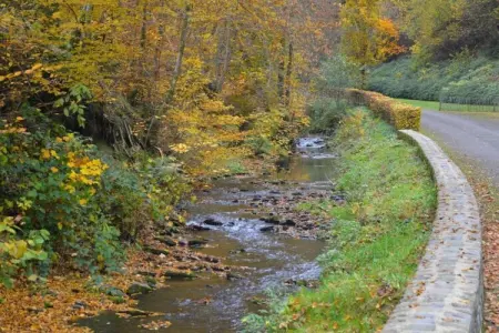Les Rivières, Escapade nature à Nafraiture - Photo 29