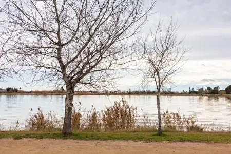 La Cochera de Sorrapa, Maison à Deltebre proche de la plage - Photo 30