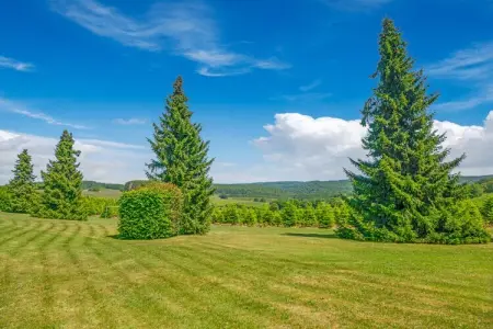 Charme des Chenets, Maison de vacances à Gros Fays avec jardin - Photo 33