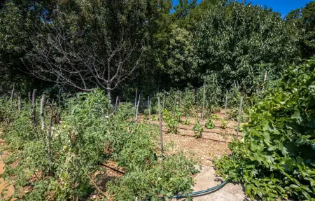 Maison 8 personnes à Crikvenica - Photo 20