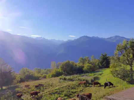 Maison Le Fontany, Chalet 6 personnes à Crans Montana - Photo 30