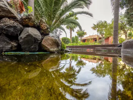 Villa Torrita, Maison 8 personnes à La Orotava - Photo 33