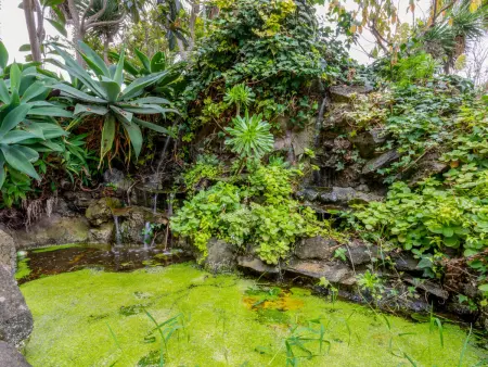 Villa Torrita, Maison 8 personnes à La Orotava - Photo 34