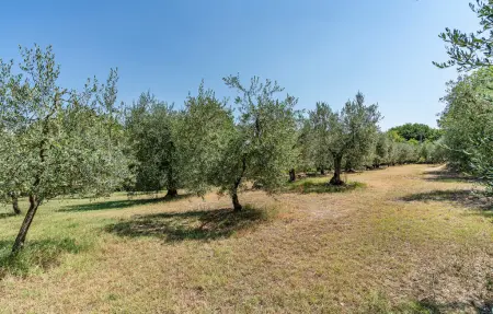 Casa Rivolta, Maison 11 personnes à Monte San Savino - Photo 12
