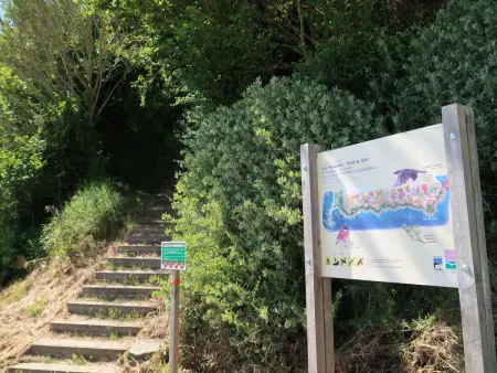Meeresblick, Maison 8 personnes à St Michel en Grève - Photo 58
