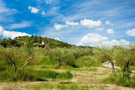 Bellosguardo, Élégante maison de vacances de 2 chambres en Toscane. - Photo 38