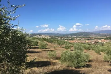 Bilocale, Maison de vacances à Magione près du lac Trasimène - Photo 34