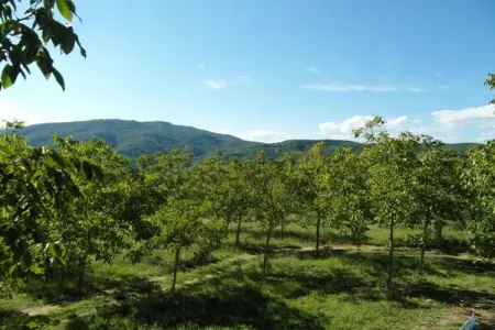 Appartamento per 6, Manoir à Citerna avec piscine et terrasse - Photo 34