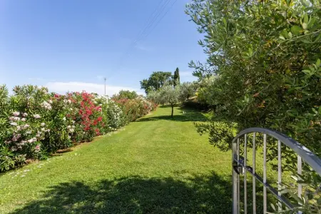 Ciliegio, Maison de Vacances à Volterra avec Piscine - Photo 28