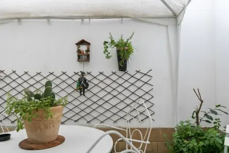 Bedda Sicilia Mia, Bedda Sicilia mia,  maison de vacances à Palerme avec terrasse - Photo 27