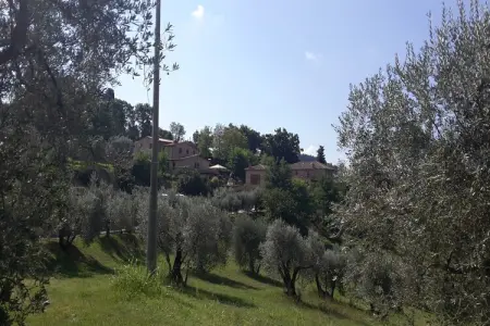 Ulivo, Maison à Volterra avec Piscine et Vue - Photo 26
