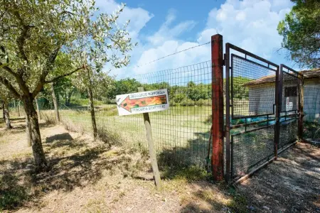 Appartamento la Tartaruga, Appartement proche du lac Trasimène - Photo 28