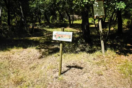 Appartamento la Rana, Appartement à Castiglione près du lac Trasimène - Photo 27