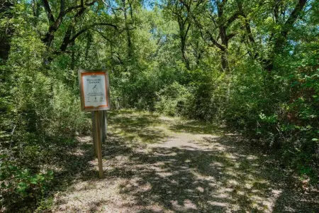 Appartamento la Rana, Appartement à Castiglione près du lac Trasimène - Photo 29