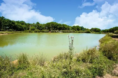 Appartamento la Rana, Appartement à Castiglione près du lac Trasimène - Photo 31