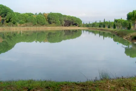Appartamento lo Scoiattolo, Appartement près du lac Trasimène - Photo 22
