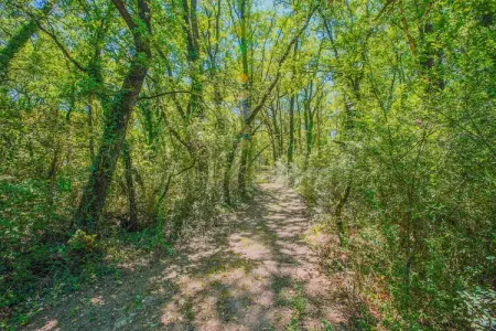 Appartamento lo Scoiattolo, Appartement près du lac Trasimène - Photo 33