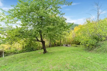 Gelsomino, Appartement avec piscine proche forךt - Photo 30