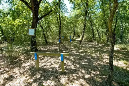 Appartamento il Gatto e Cincia, Maison à Castiglione près du lac - Photo 31