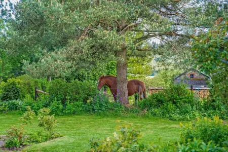 Les Hirondelles, Chalet familial paisible - Photo 29