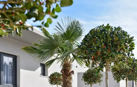 Maison 9 personnes à Split - Photo 14