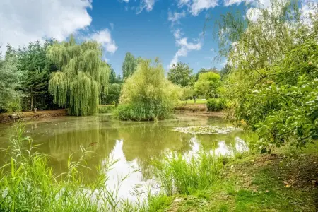 Le Gîte du Lac Privé, Gîte Nature à Florennes - Photo 31