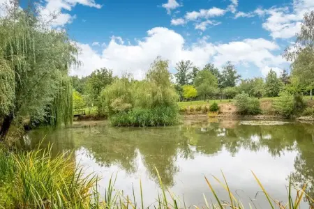 Le Gîte du Lac Privé, Gîte Nature à Florennes - Photo 32