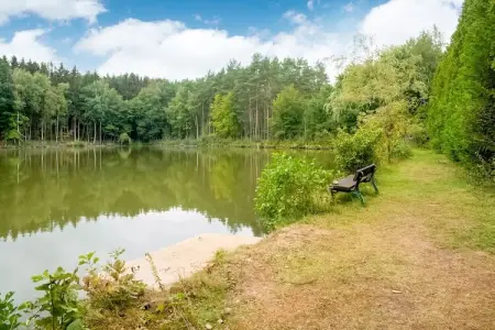 Le Gîte du Lac Privé, Gîte Nature à Florennes - Photo 35