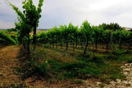 La Cantinaia Botte, Retraite tranquille avec vue sur la vallée - Photo 19