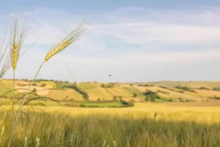 La Cantinaia Botte, Retraite tranquille avec vue sur la vallée - Photo 20