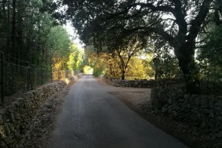 Can Serra, Maison à Sa Pobla avec piscine privée - Photo 7