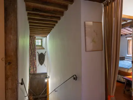 Il Castagneto, Gite 6 personnes à Rufina - Photo 23