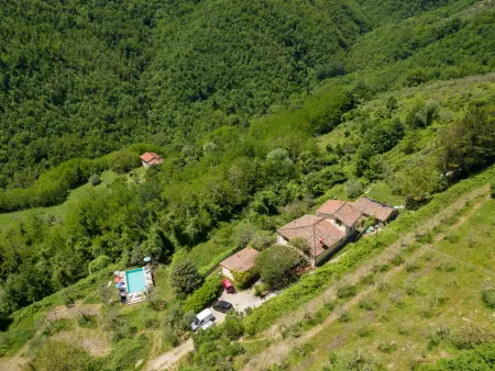 Il Castagneto, Gite 6 personnes à Rufina - Photo 31