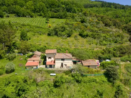 Il Castagneto, Gite 6 personnes à Rufina - Photo 35