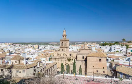 Maison 10 personnes à Morón de la Frontera - Photo 42