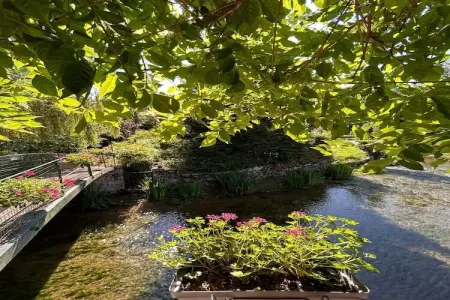 Bligny-sur-Ouche, Retraite à Bligny-sur-Ouche - Photo 34