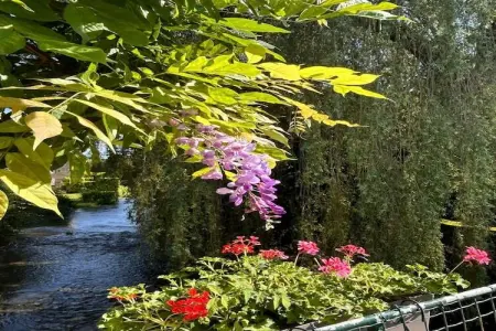 Bligny-sur-Ouche, Retraite à Bligny-sur-Ouche - Photo 38