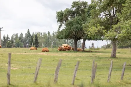 Gite au Grenier d'abondance, Retraite alsacienne de 4 chambres - Photo 25