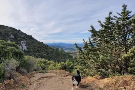 Gîte de luxe dans les vignes 1, Séjour tranquille à Villesèque - Photo 35